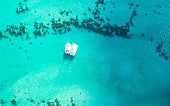 Banner Images for Emails - 800 x 500 px 20