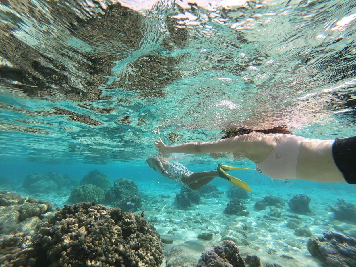 Dive in Polynesia