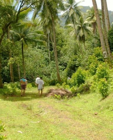 Tahiti Photos (385 × 475px) 3