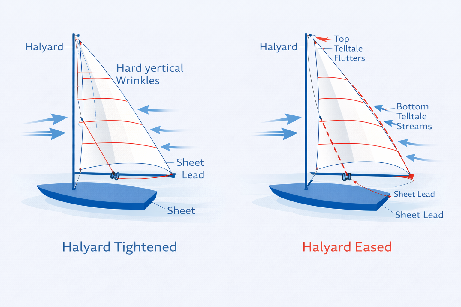 undefined-Feb-24-2026-12-19-12-4293-PM